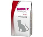 Ветеринарная диета Eukanuba Intestinal для кошек при заболеваниях желудочно-кишечного тракта 