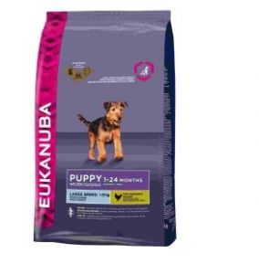 Eukanuba Dog Puppy & Junior для щенков крупных пород