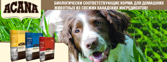 Eukanuba best sale urinary struvite